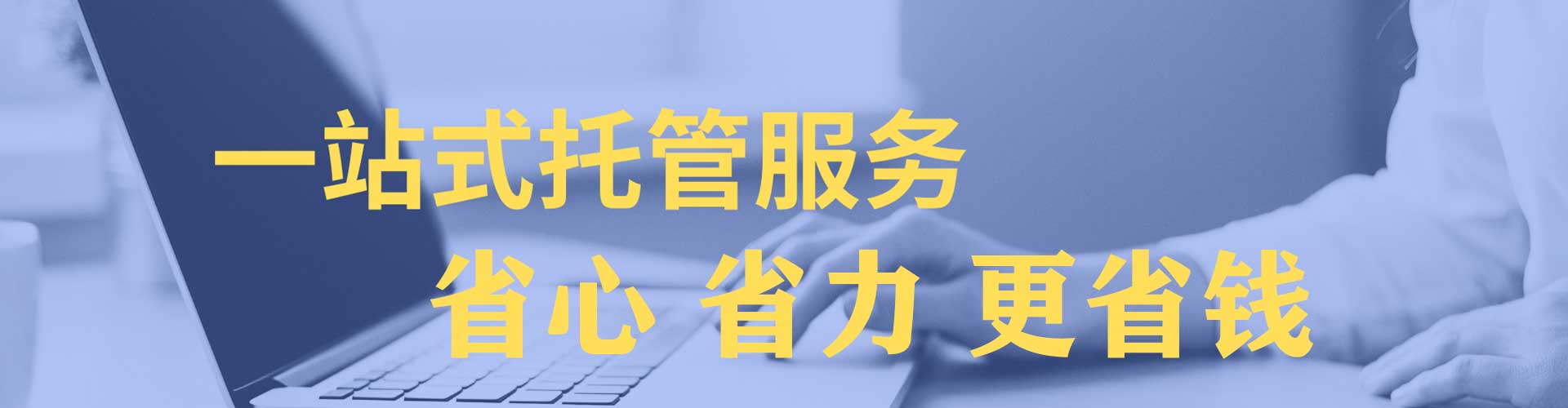 洞口竞价托管